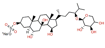 Pycnopodioside B